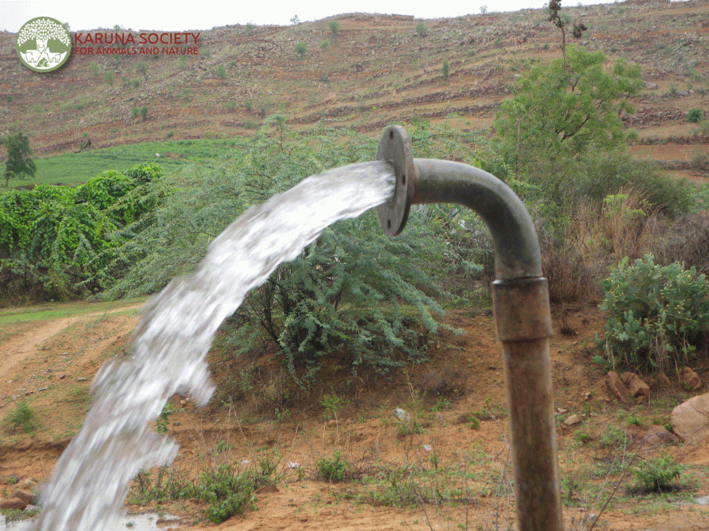 Borewell 3