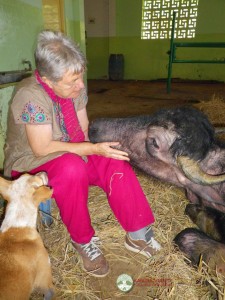 Clementien with Cattle and Dog 2