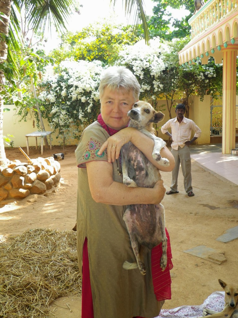 Clementien Holding Dog