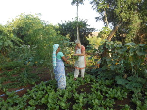 Clementien in Garden with Worker