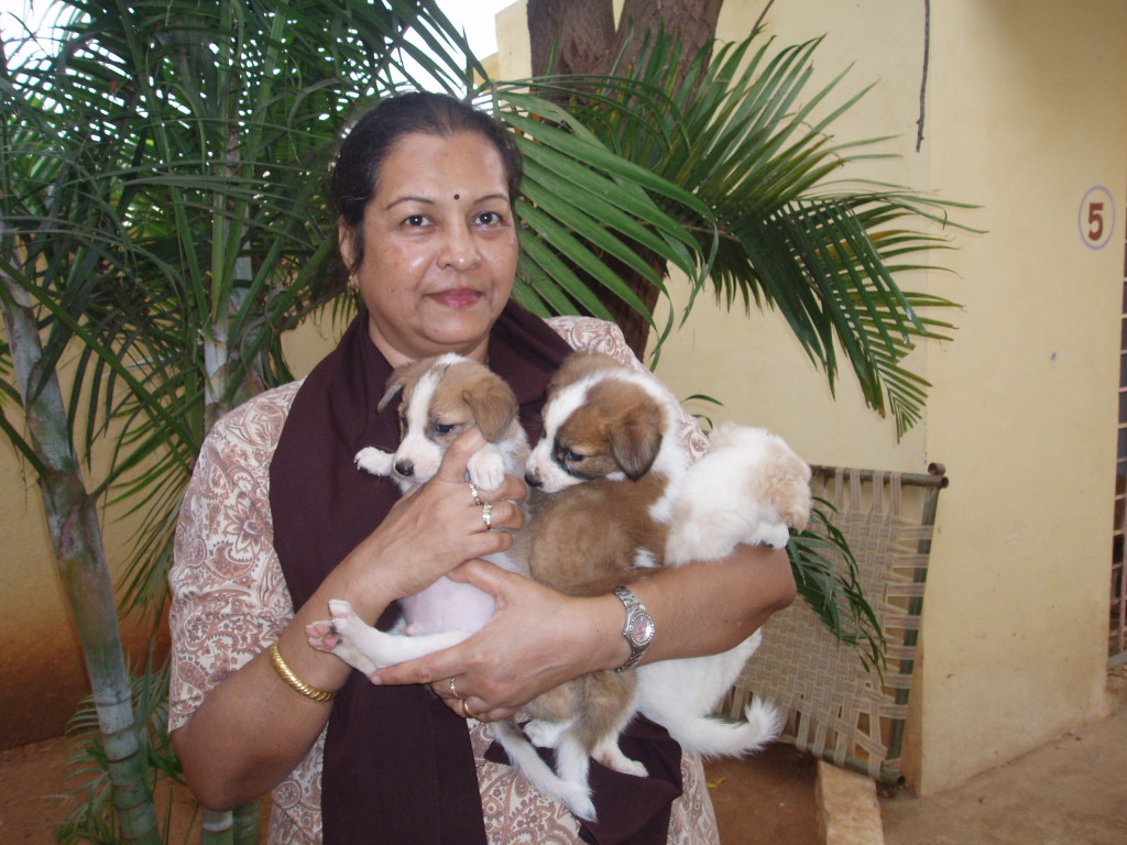 Romula with Puppies