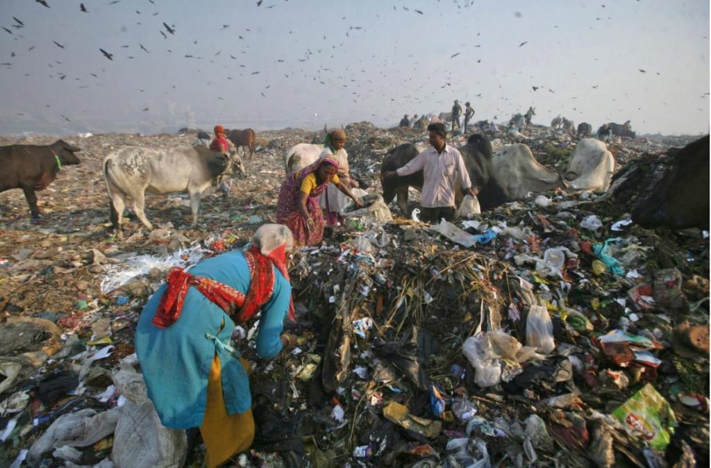 Karuna Delhi Plastic Ban