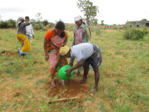 Karuna Tree Planting 2017-07-21a