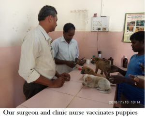 Karuna Dogs Vaccines 2018-11-10 Updated