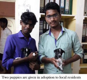 Karuna dog Adoption Updated