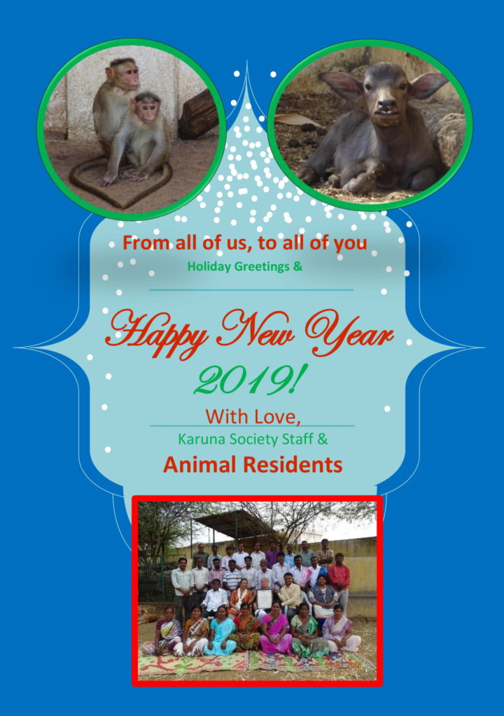 Karuna Happy New Year 2019c-1