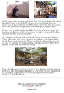 Karuna Newsletter 2019-03-03 Preparing for Summer-2