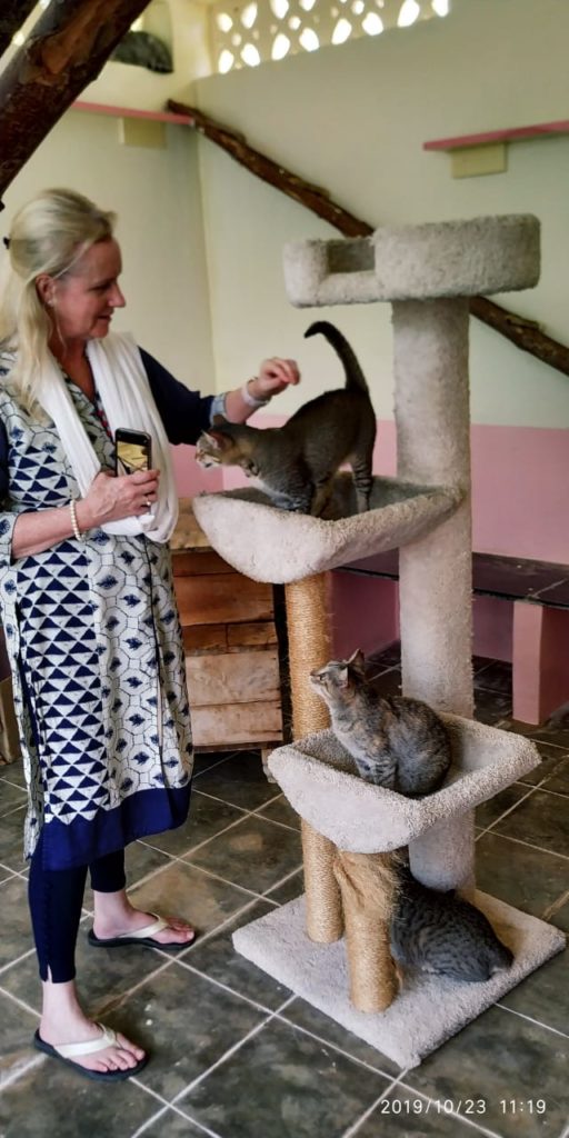 Cat House in Parthi with Jennie Cornsweet